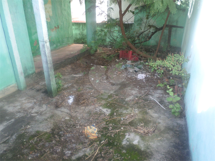 Foto REO827173