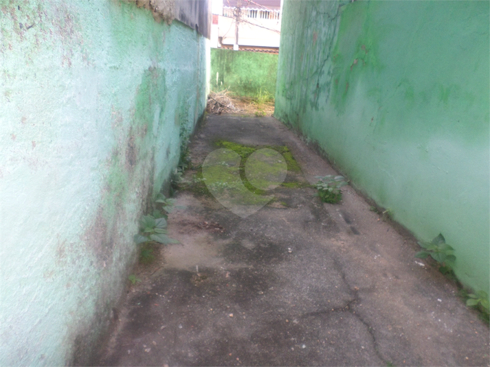Foto REO827173