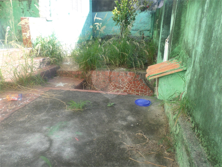 Foto REO827173