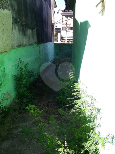 Foto REO827173