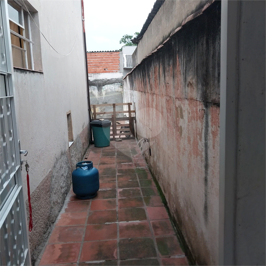 Foto REO827189