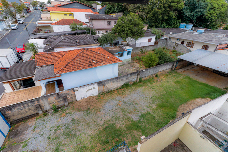 Foto REO827496