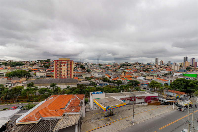 Foto REO827496