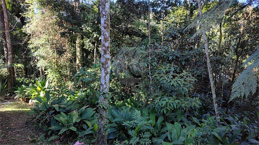 Venda Terreno Mairiporã Caraguatá REO827497 17