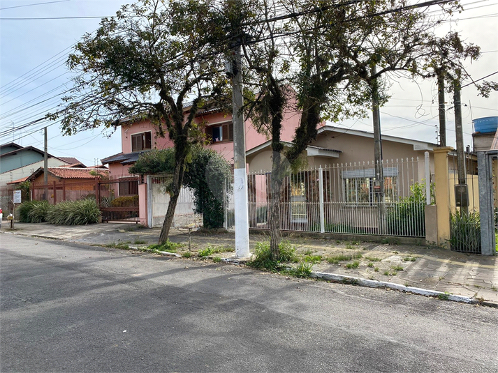 Foto REO827519