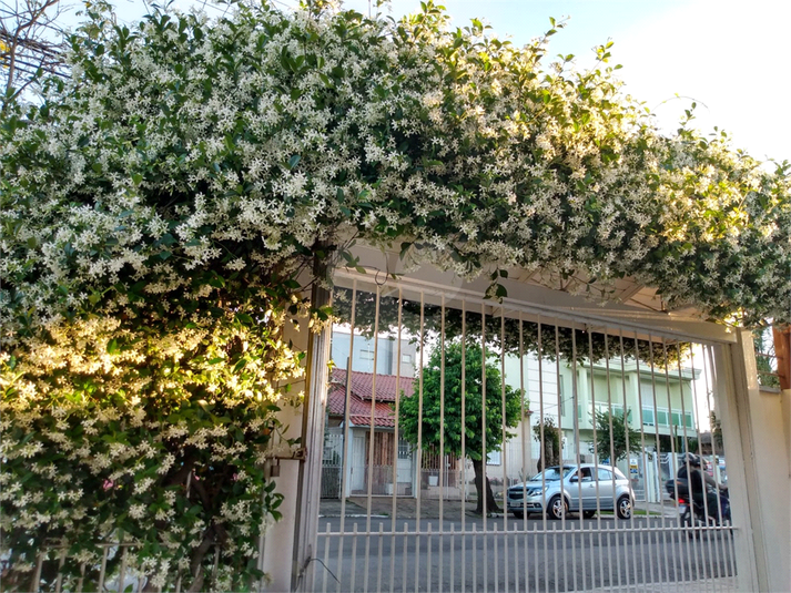 Foto REO827519
