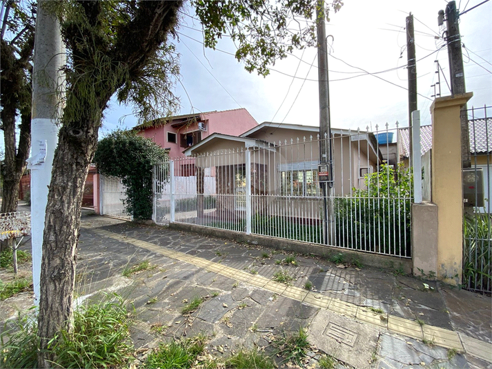 Foto REO827519