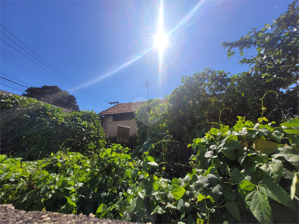 Venda Casa São Paulo Piqueri REO827739 14