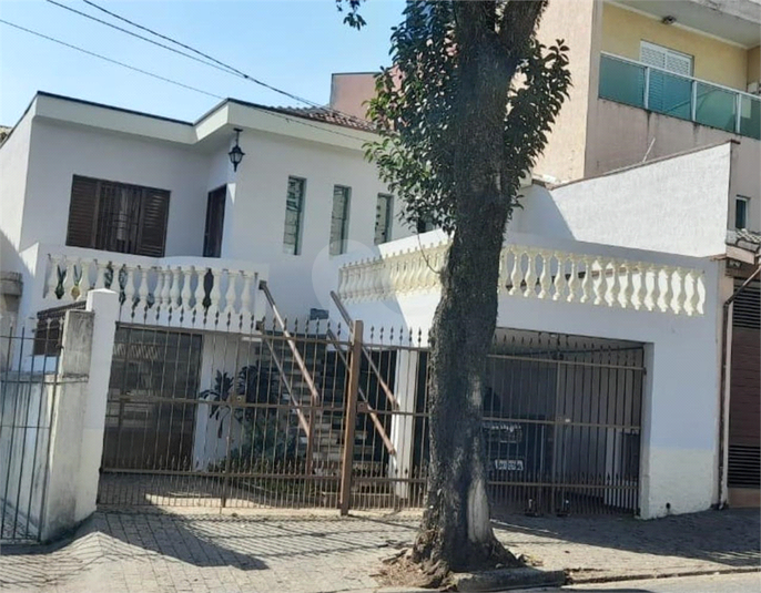 Foto REO827893