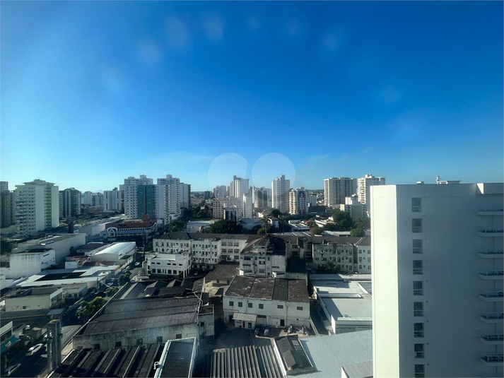 Foto REO828572