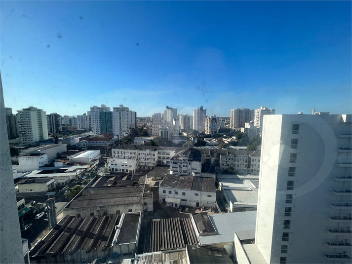 Foto REO828572