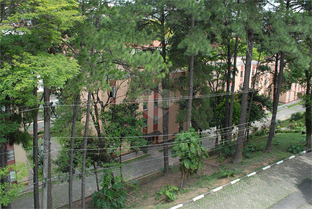 Venda Apartamento São Paulo Jardim Leonor Mendes De Barros REO828898 22