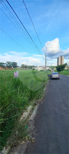 Foto REO829177