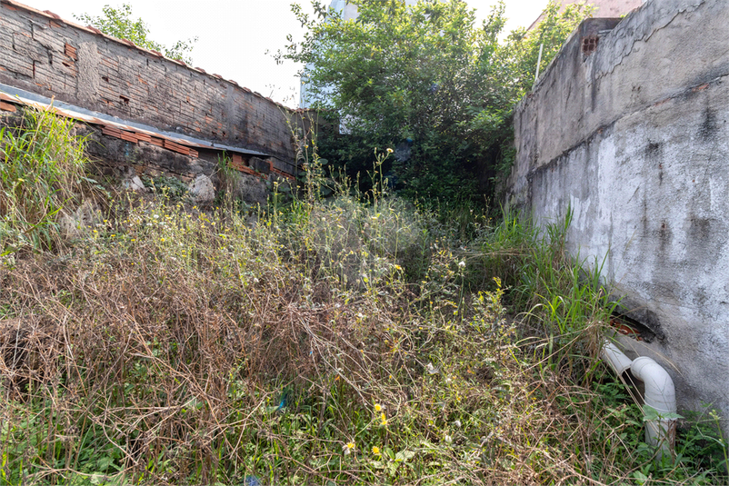 Venda Casa São Paulo Vila Isolina Mazzei REO829192 4