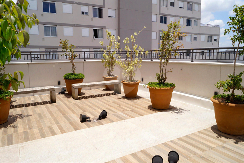 Venda Apartamento São Paulo Cambuci REO829352 35