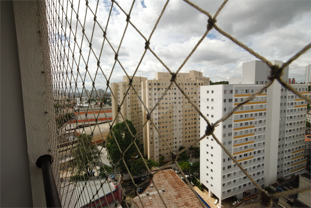 Venda Apartamento São Paulo Cambuci REO829485 13