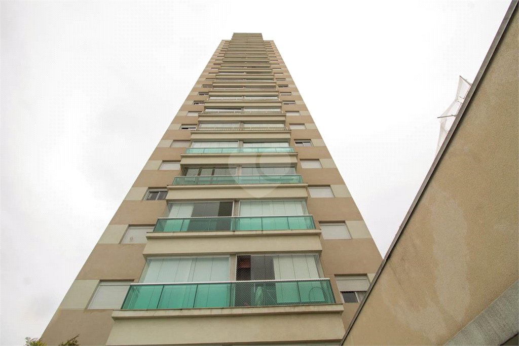 Venda Apartamento São Paulo Cambuci REO829632 50