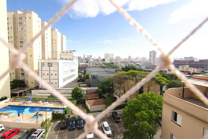 Foto REO829740