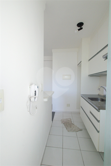 Foto REO829740