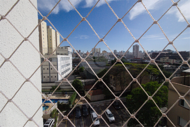 Foto REO829740