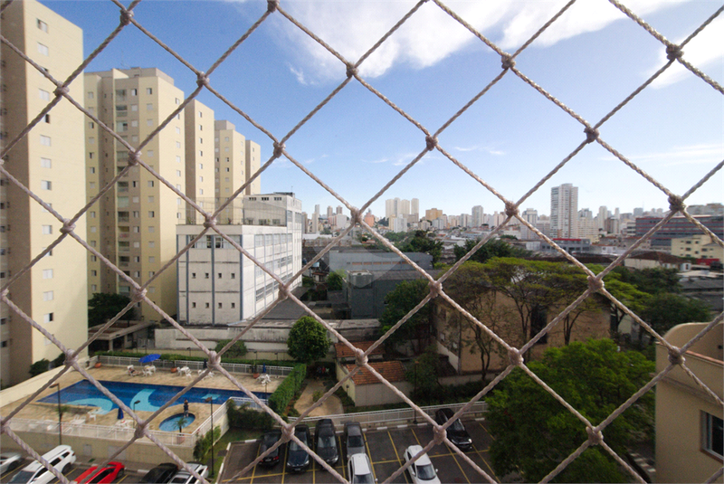 Foto REO829740