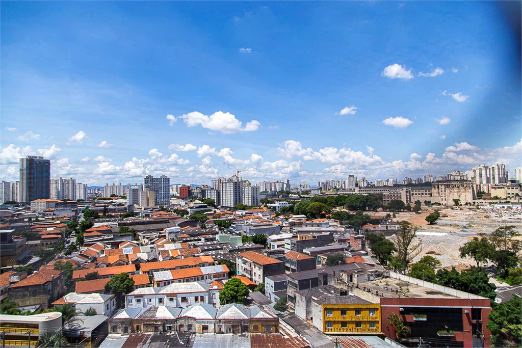 Venda Apartamento São Paulo Cambuci REO829773 12