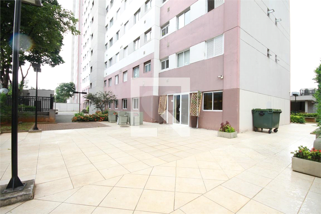 Venda Apartamento São Paulo Cambuci REO829773 27