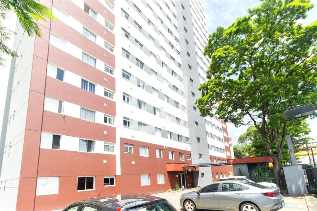 Venda Apartamento São Paulo Cambuci REO829773 40