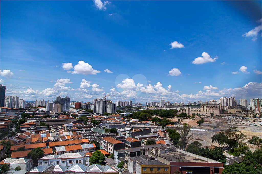 Venda Apartamento São Paulo Cambuci REO829773 7