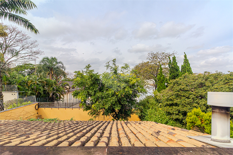 Foto REO830137
