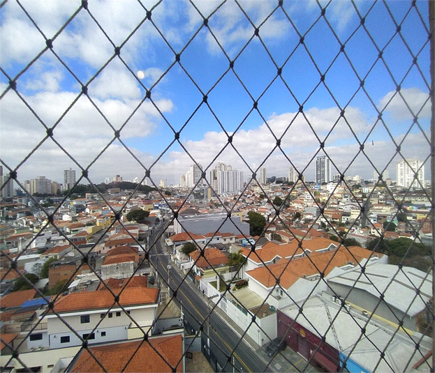 Foto REO830533