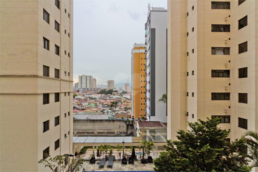 Venda Apartamento São Paulo Santa Teresinha REO830573 9