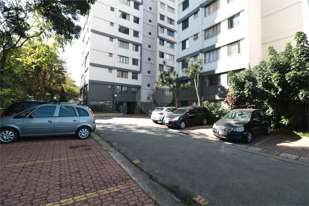 Venda Apartamento São Paulo Brás REO830708 38