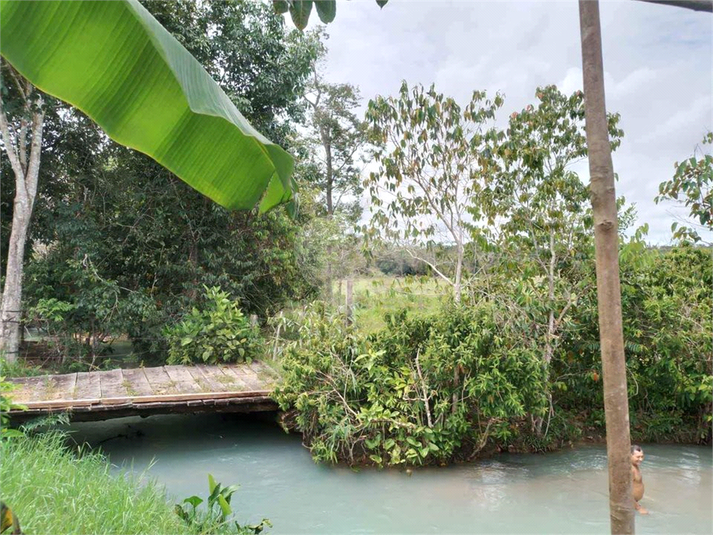 Foto REO830975