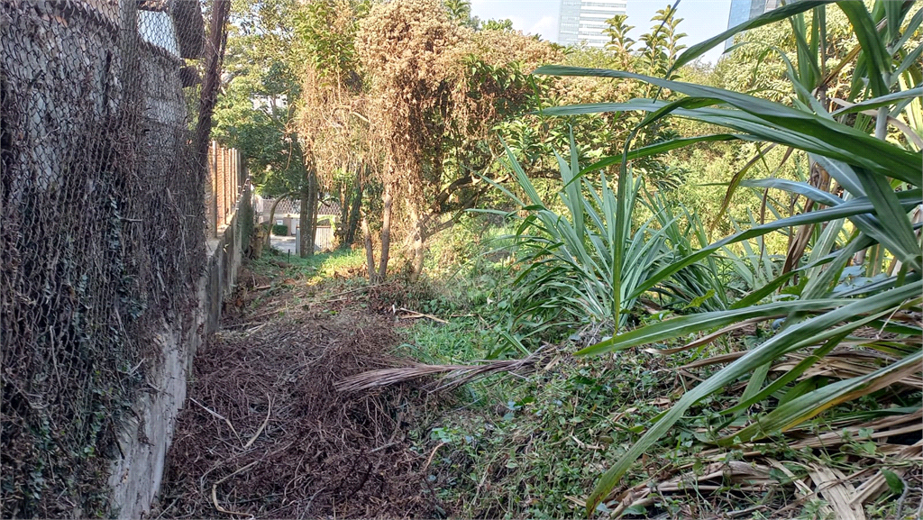 Venda Terreno São Paulo Vila Tramontano REO831011 9