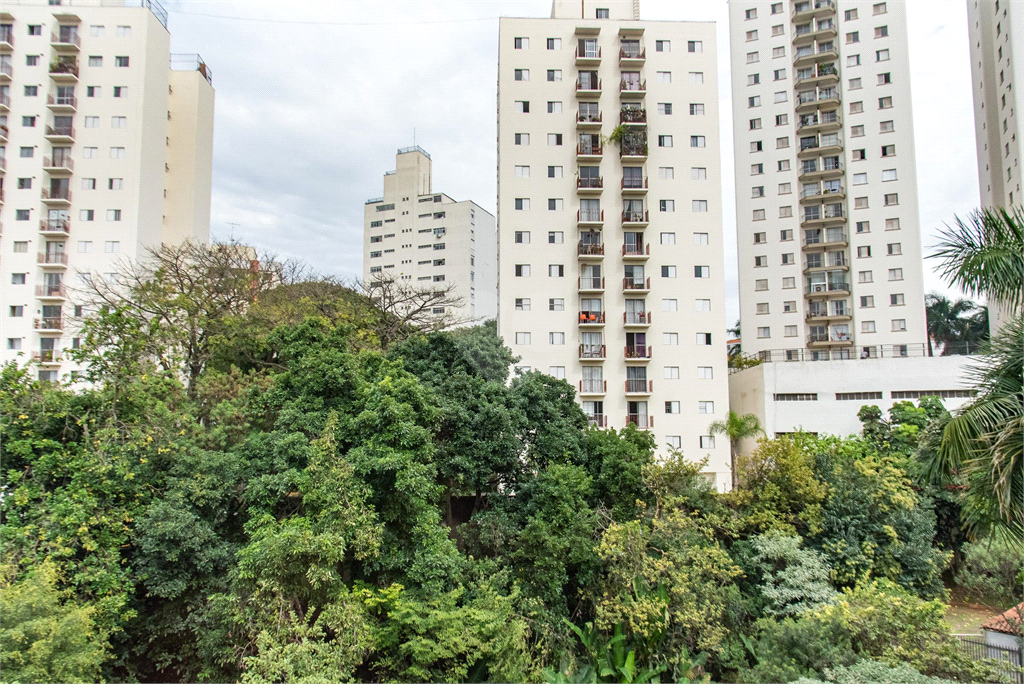 Venda Casa São Paulo Jardim Da Glória REO831196 30