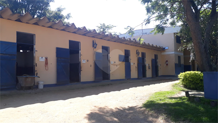 Foto REO831501