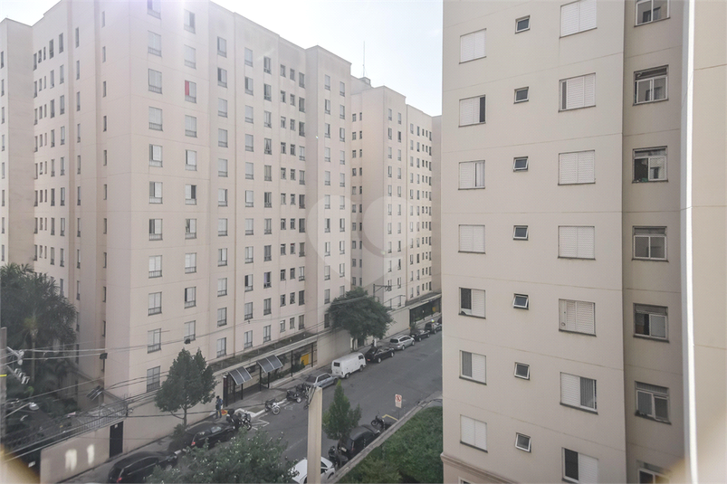 Foto REO831536