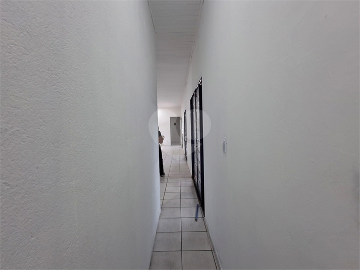 Foto REO831563