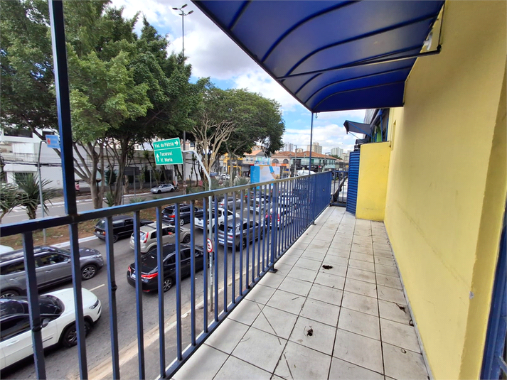 Foto REO831563