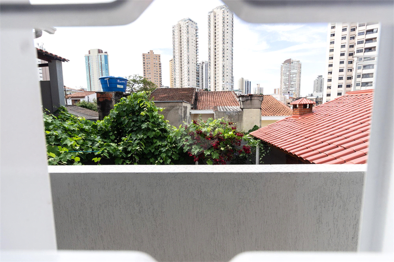 Foto REO832246