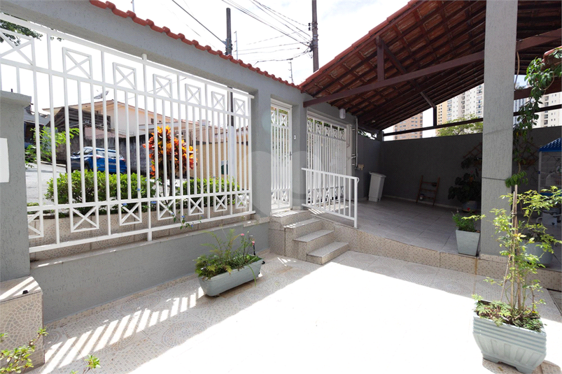 Foto REO832246