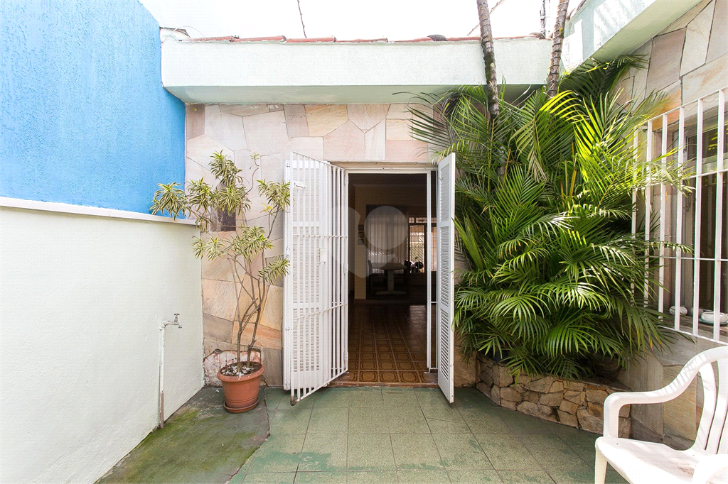 Venda Casa São Paulo Vila Bertioga REO832521 10