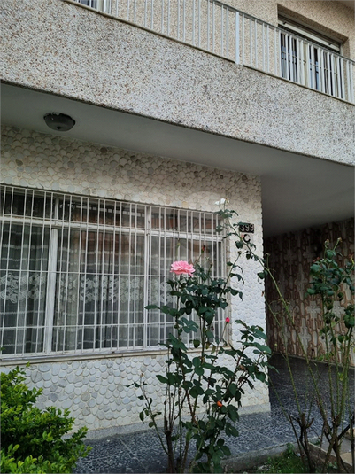 Foto REO832786