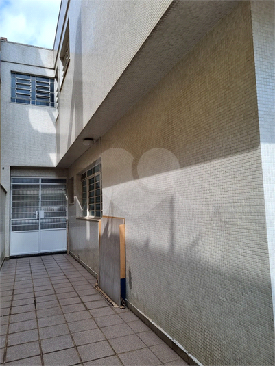 Foto REO832786