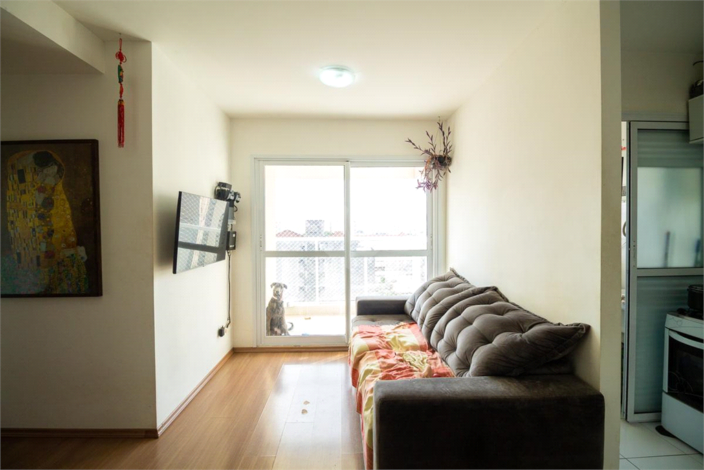 Venda Apartamento São Paulo Cambuci REO833199 2