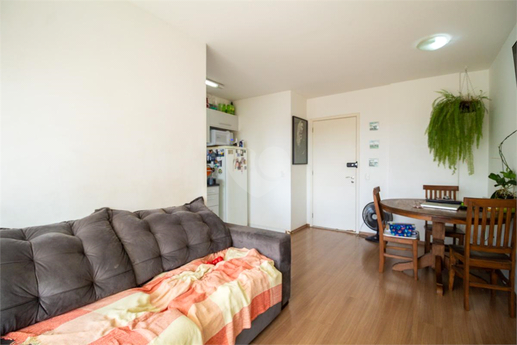 Venda Apartamento São Paulo Cambuci REO833199 3