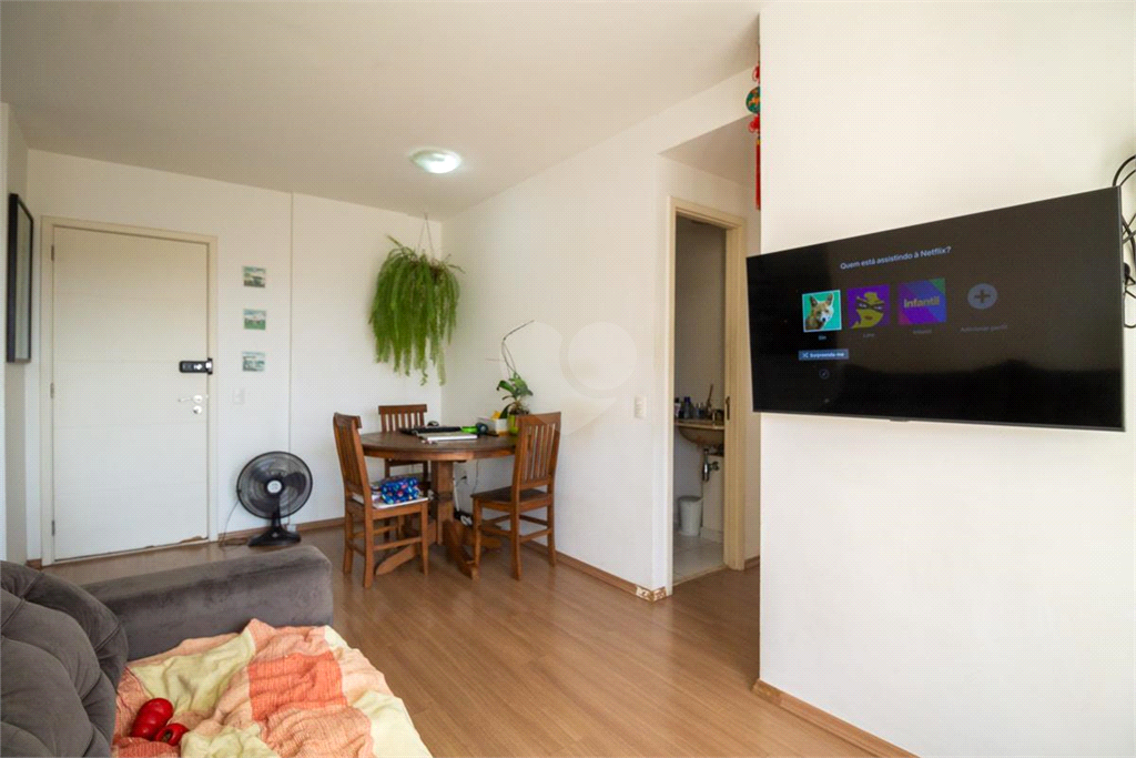 Venda Apartamento São Paulo Cambuci REO833199 4