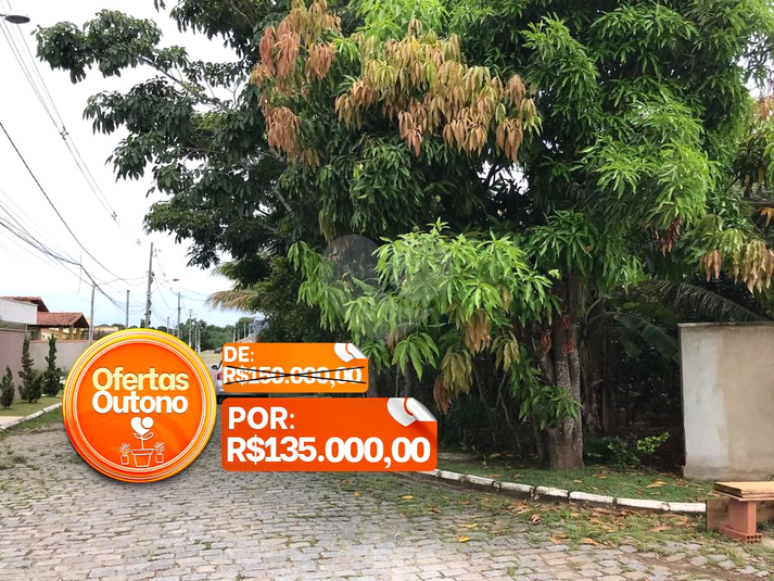 Foto REO833240