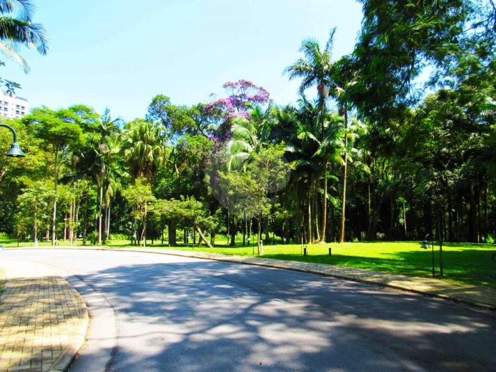 Foto REO83370